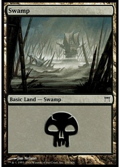 Swamp