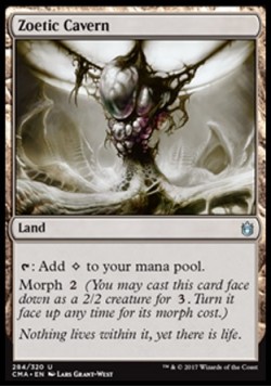Zoetic Cavern