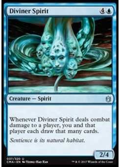 Diviner Spirit