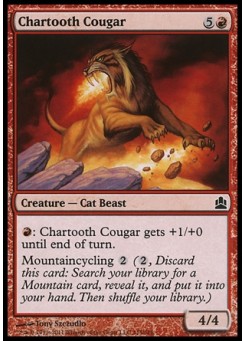 Chartooth Cougar