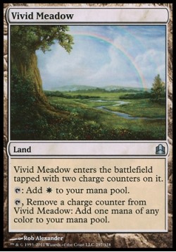 Vivid Meadow