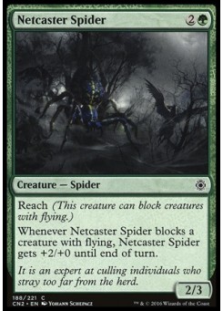 Netcaster Spider