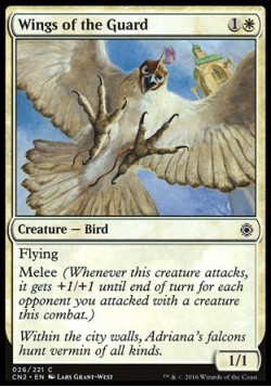 Wings of the Guard