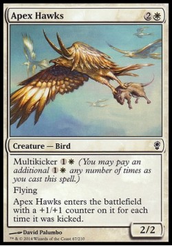 Apex Hawks