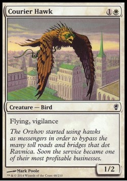 Courier Hawk