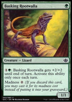 Basking Rootwalla