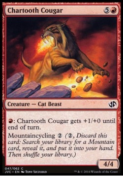 Chartooth Cougar