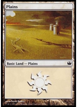 Plains