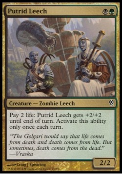 Putrid Leech