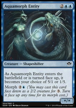 Aquamorph Entity
