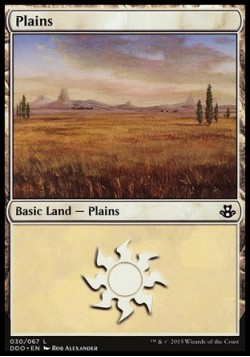 Plains