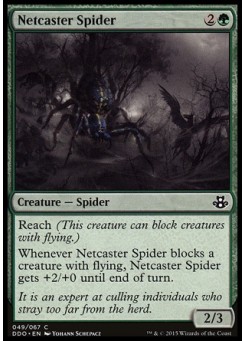 Netcaster Spider