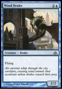 Wind Drake