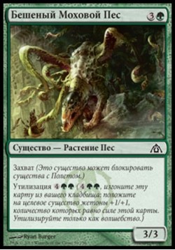 Бешеный Моховой Пес