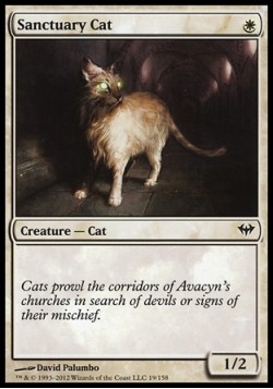 Sanctuary Cat