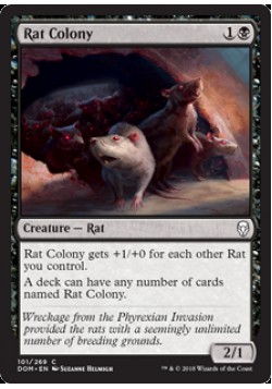 Rat Colony