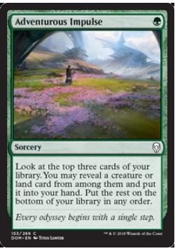 Adventurous Impulse