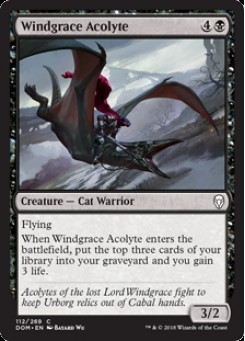 Windgrace Acolyte