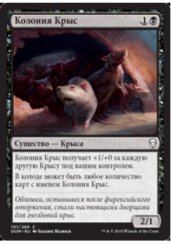Колония Крыс