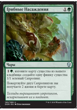 Грибные Насаждения