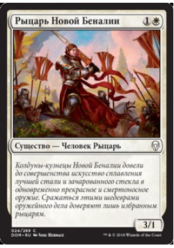 Рыцарь Новой Беналии
