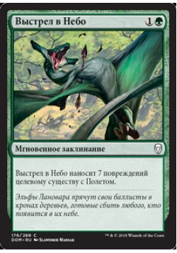 Выстрел в Небо