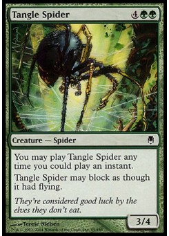 Tangle Spider