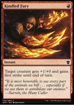 Kindled Fury