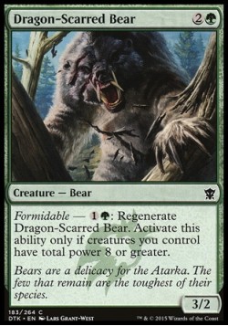 Dragon-Scarred Bear