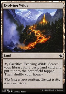 Evolving Wilds