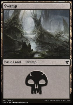 Swamp