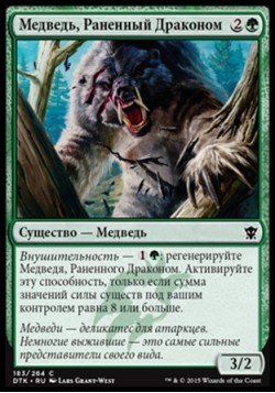 Медведь, Раненный Драконом