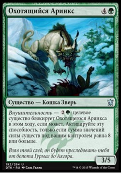 Охотящийся Аринкс