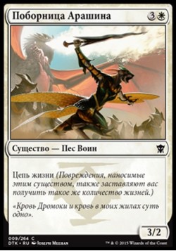 Поборница Арашина