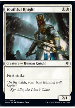 Youthful Knight