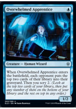 Overwhelmed Apprentice