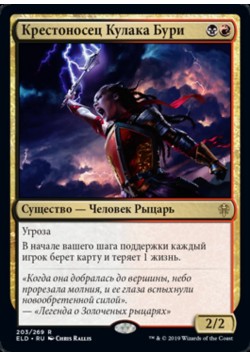 Крестоносец Кулака Бури