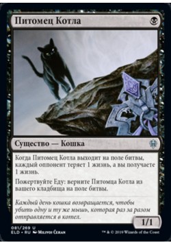 Питомец Котла