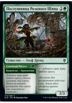 Послушница Розового Шипа