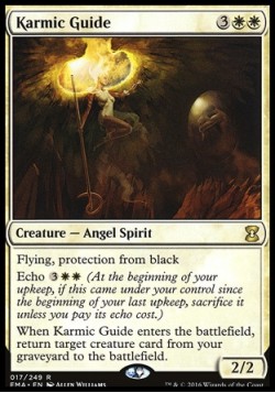 Karmic Guide