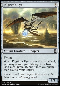 Pilgrim's Eye