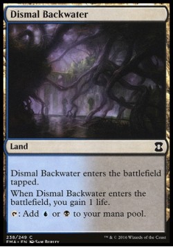 Dismal Backwater