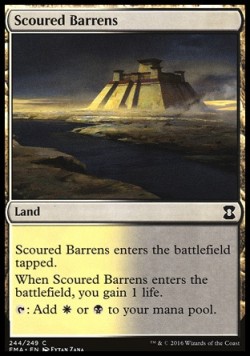 Scoured Barrens