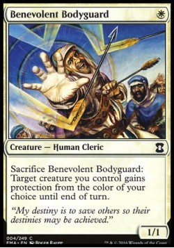 Benevolent Bodyguard