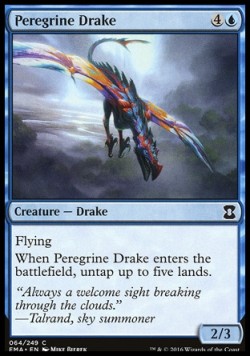 Peregrine Drake