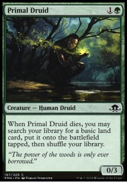 Primal Druid