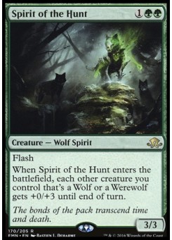 Spirit of the Hunt