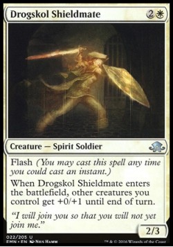 Drogskol Shieldmate