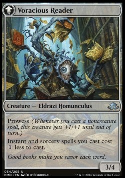 Voracious Reader