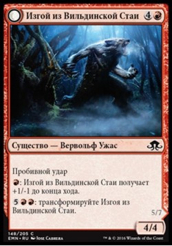 Изгой из Вильдинской Стаи